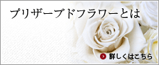 プリザーブドフラワーとは